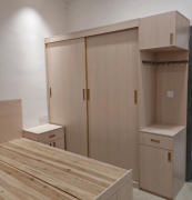 碧桂园双阳台大四房 包物业网络车位 拎包入住 全屋定制